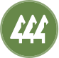 MLS Logo